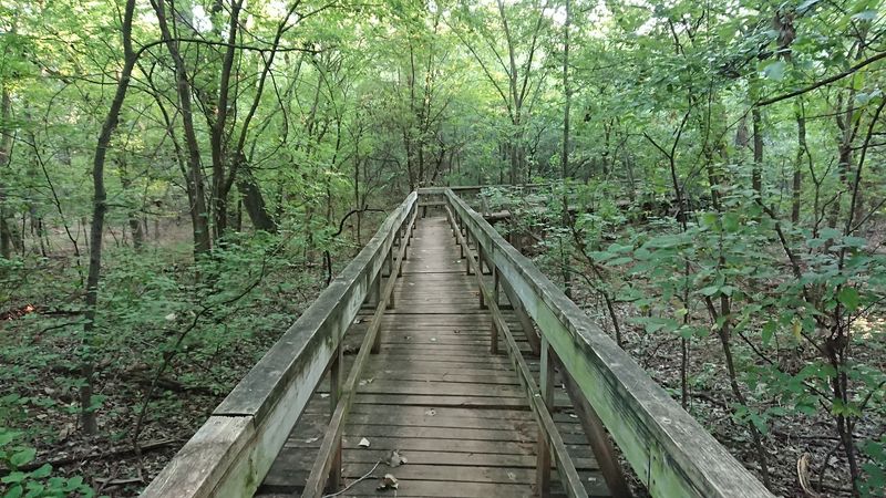 Wildlife, Stargazing, and the Quieter Side of the Park