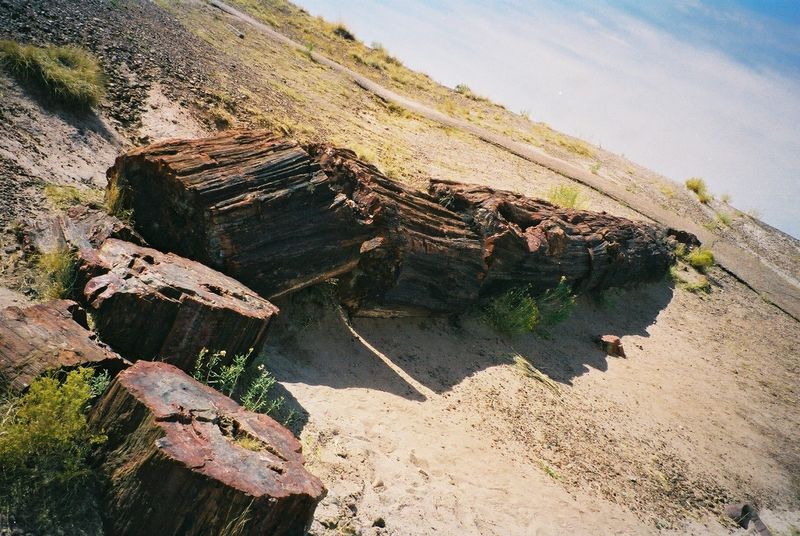 Petrified Forest National Park — Arizona
