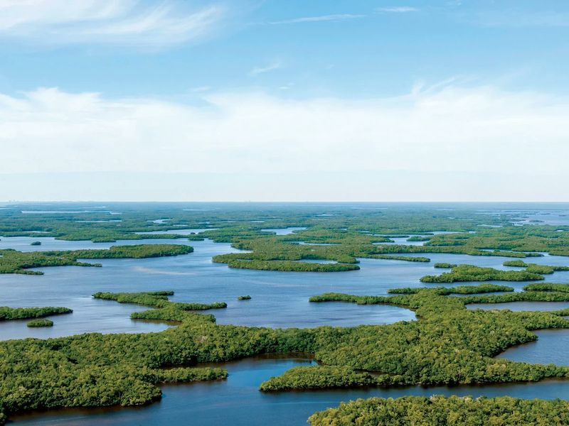 Everglades National Park (Florida)