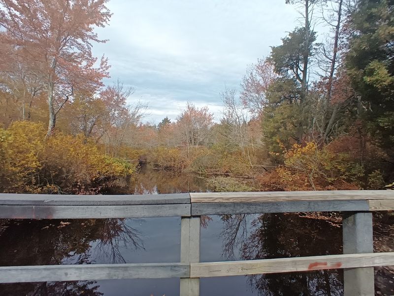 Goshen Pond, Shamong