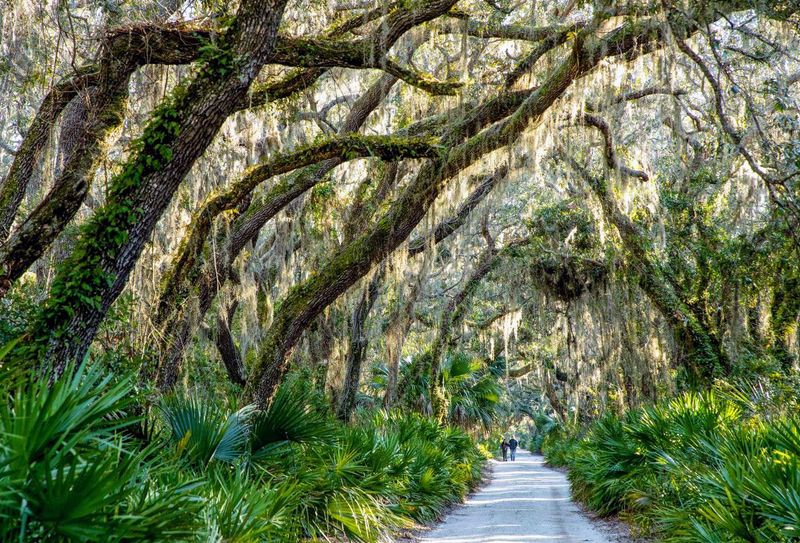 Cumberland Island, Georgia