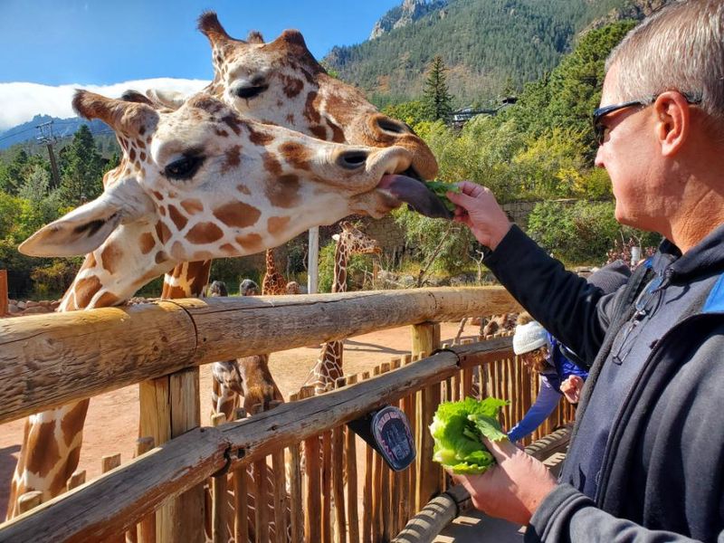 Cheyenne Mountain Zoo (Colorado Springs)