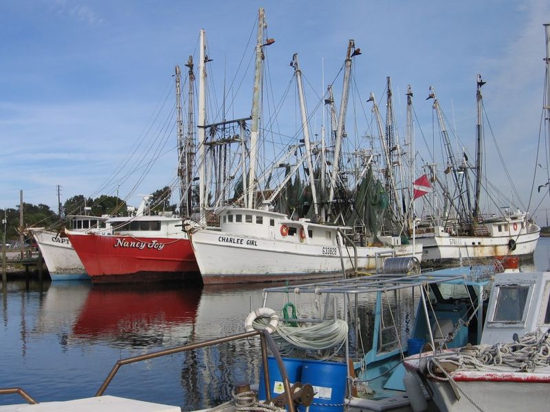 Practical Tips for Your Visit