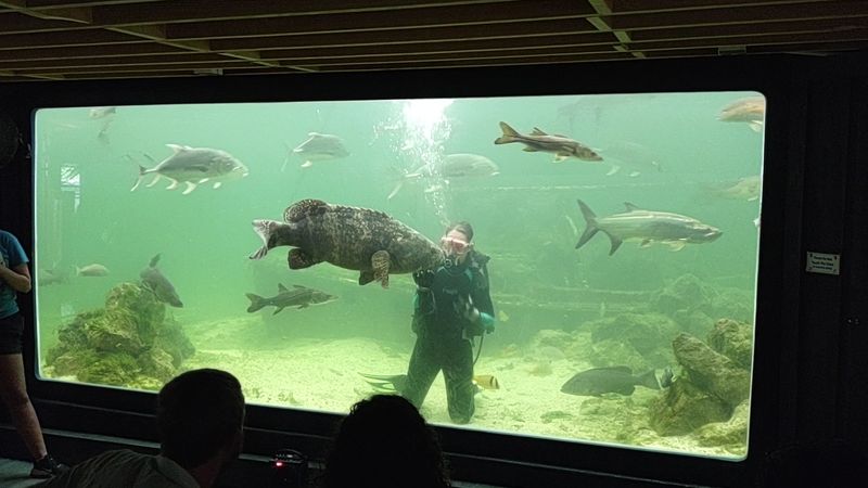 Tarpon Springs Aquarium