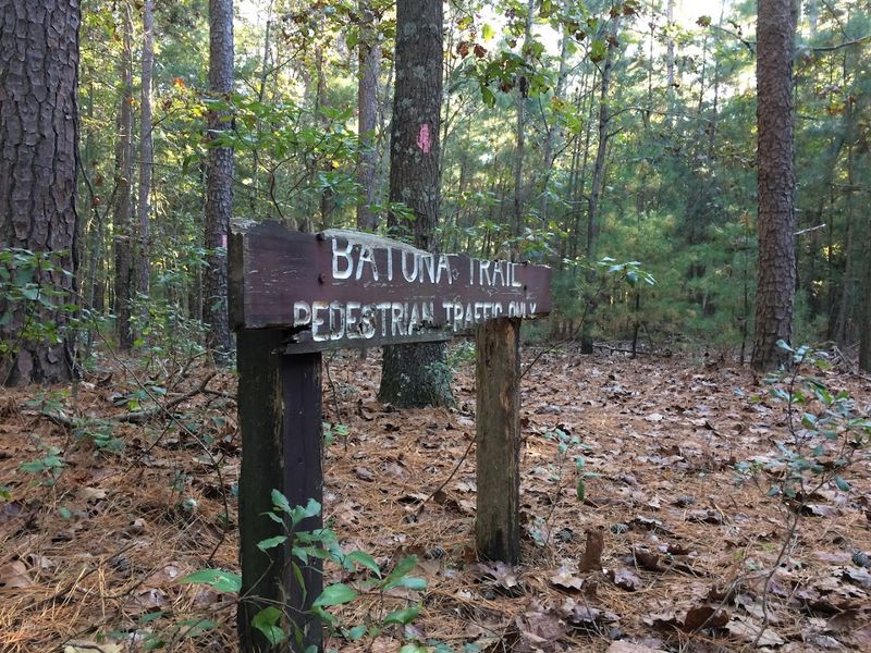 Batona Trail (Pinelands Section), Wharton State Forest
