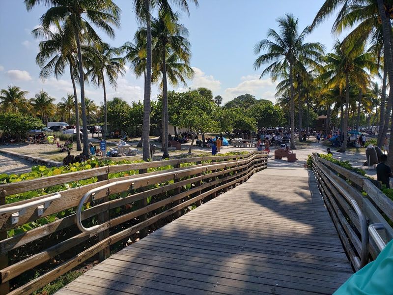 The Playground and Family-Friendly Features