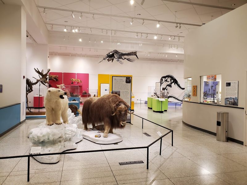 Free Dinosaurs and Art at the New Jersey State Museum