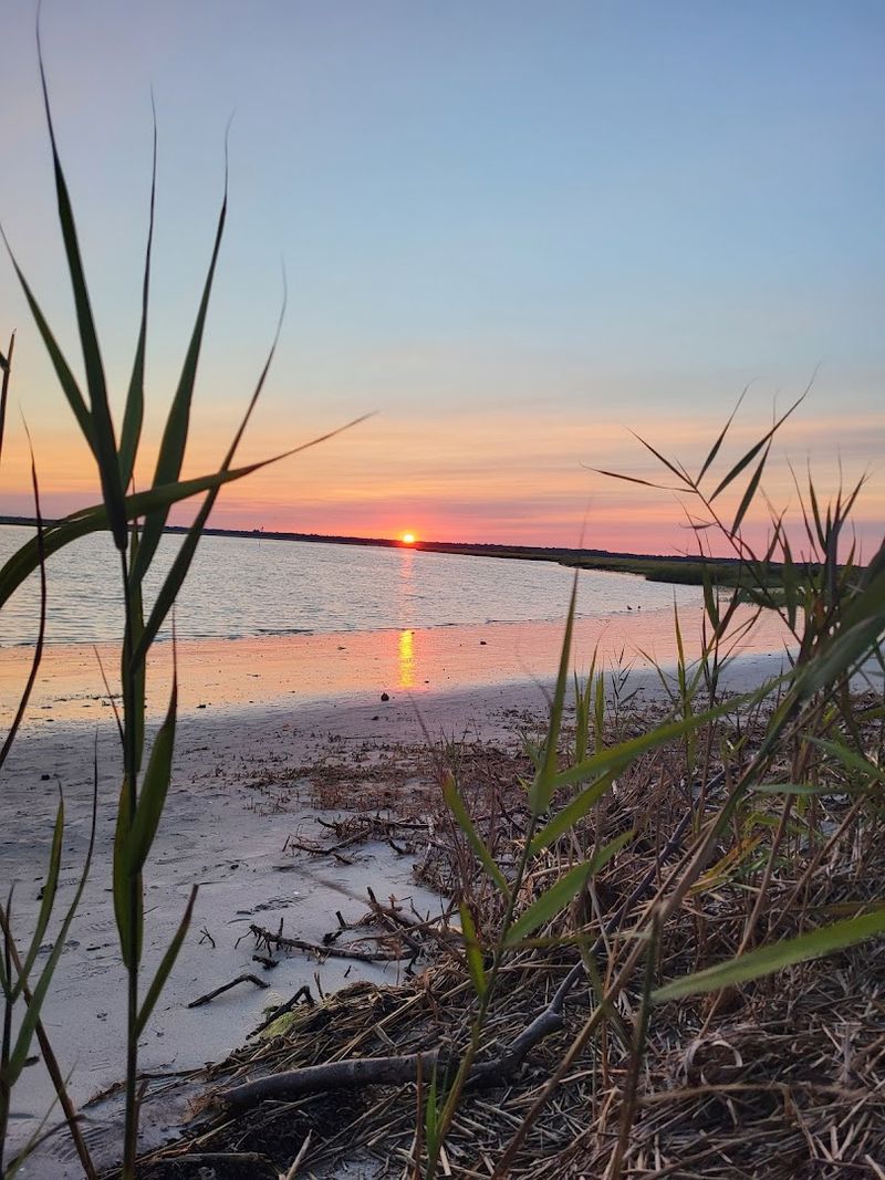 The Best Times of Year to Visit