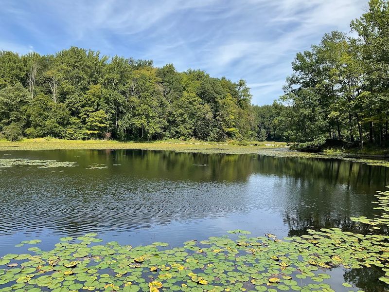 Ghost Lake Trail (Jenny Jump State Forest)
