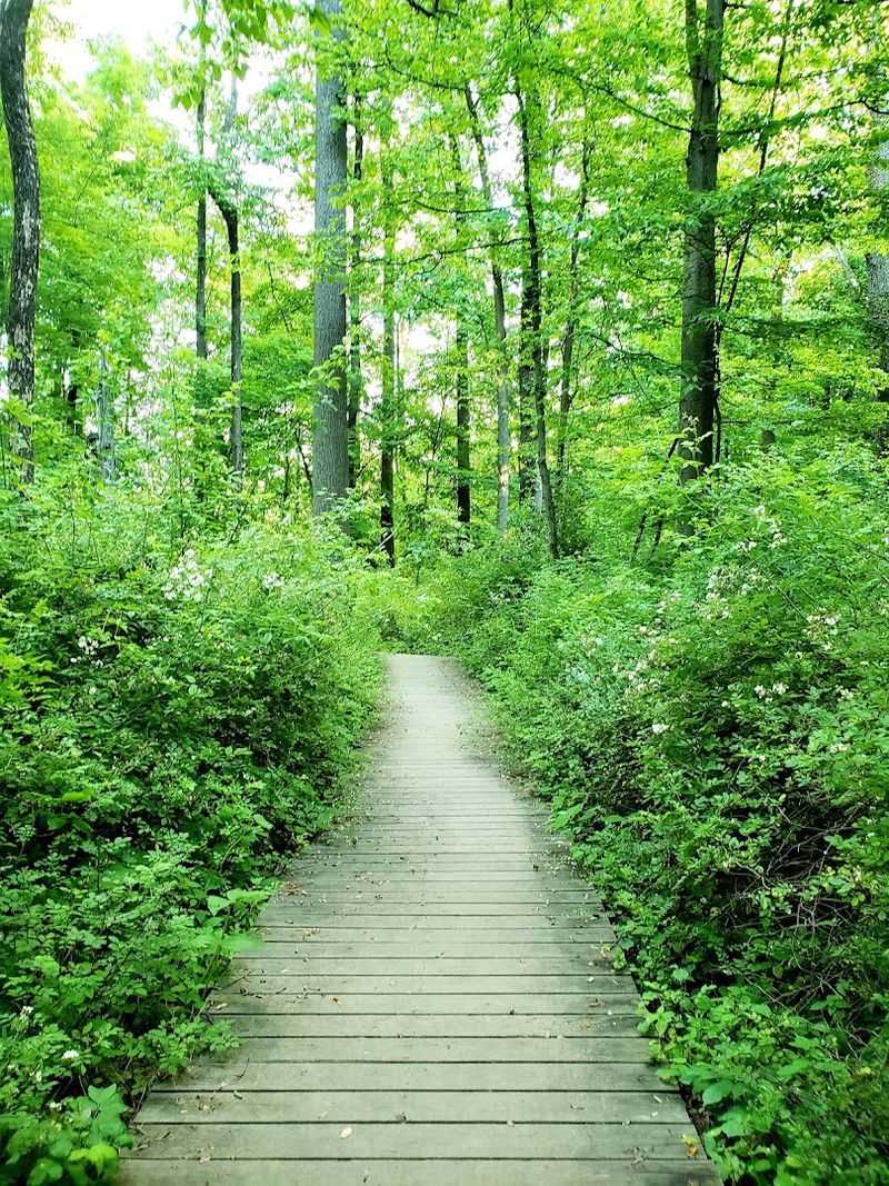 Sourland Mountain Preserve (Somerset County)