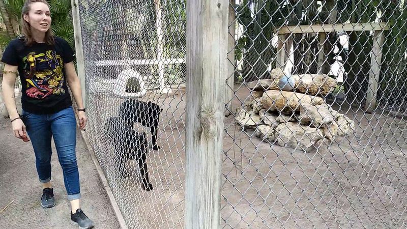 The Tour Guides: Knowledge, Passion, and Genuine Connection