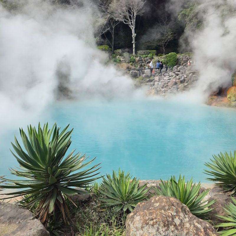 The Hells of Beppu, Oita
