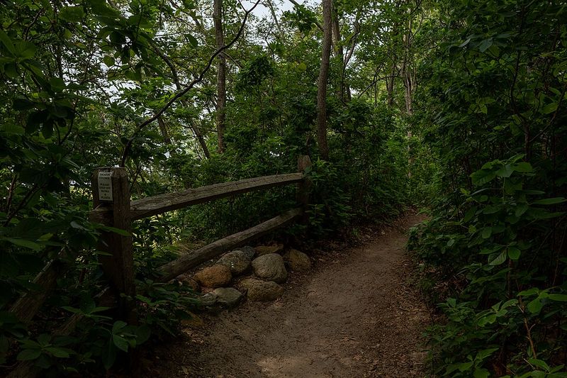 Cult Rumors and Local Legends