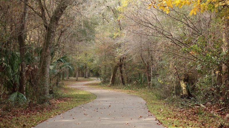 Tips for First-Time Visitors