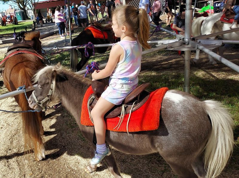 Pony Rides and Birthday Party Options