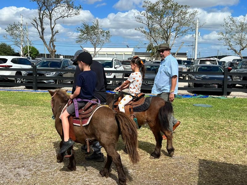 Animals, Cows, and Pony Rides