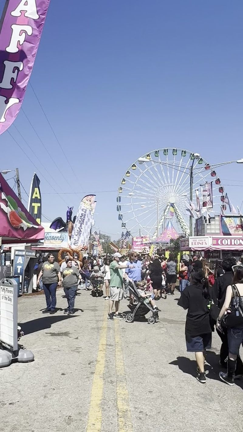Rides and Carnival Midway Fun
