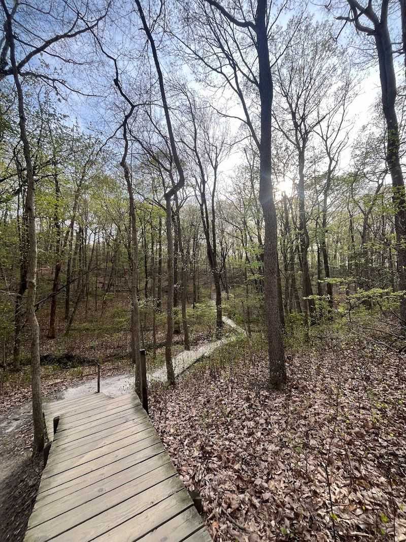 Green Trail System, Cheesequake State Park