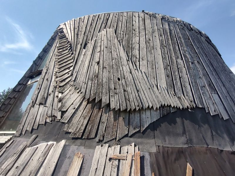 Cedar Shingles That Turn a Wall Into a Texture You Cannot Stop Looking At