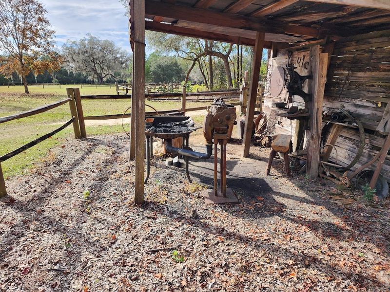 The Sugarcane Syrup Event That Draws Crowds Every Fall