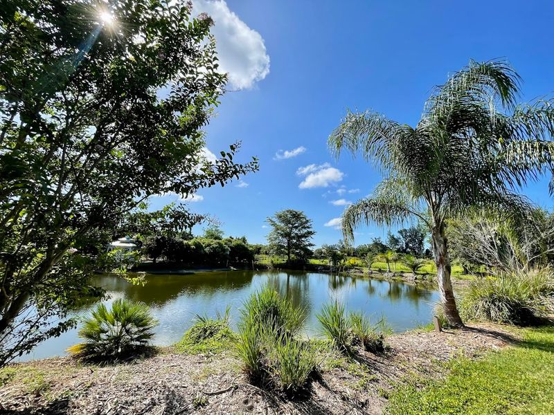 The Lake, the Gazebo, and the Art of Doing Nothing