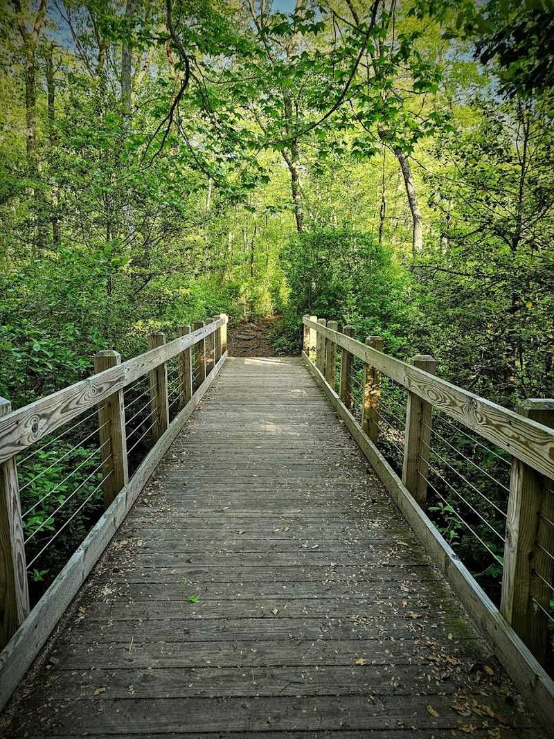 The Bridge Loop: Short, Easy, and Worth Every Step