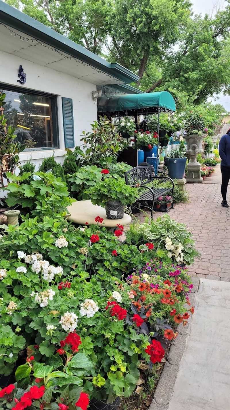 Finding the Address and Getting There