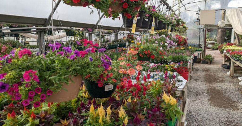 Hidden in Oklahoma Is a Plant Lover’s Paradise With Greenhouses Full of Exotic Plants