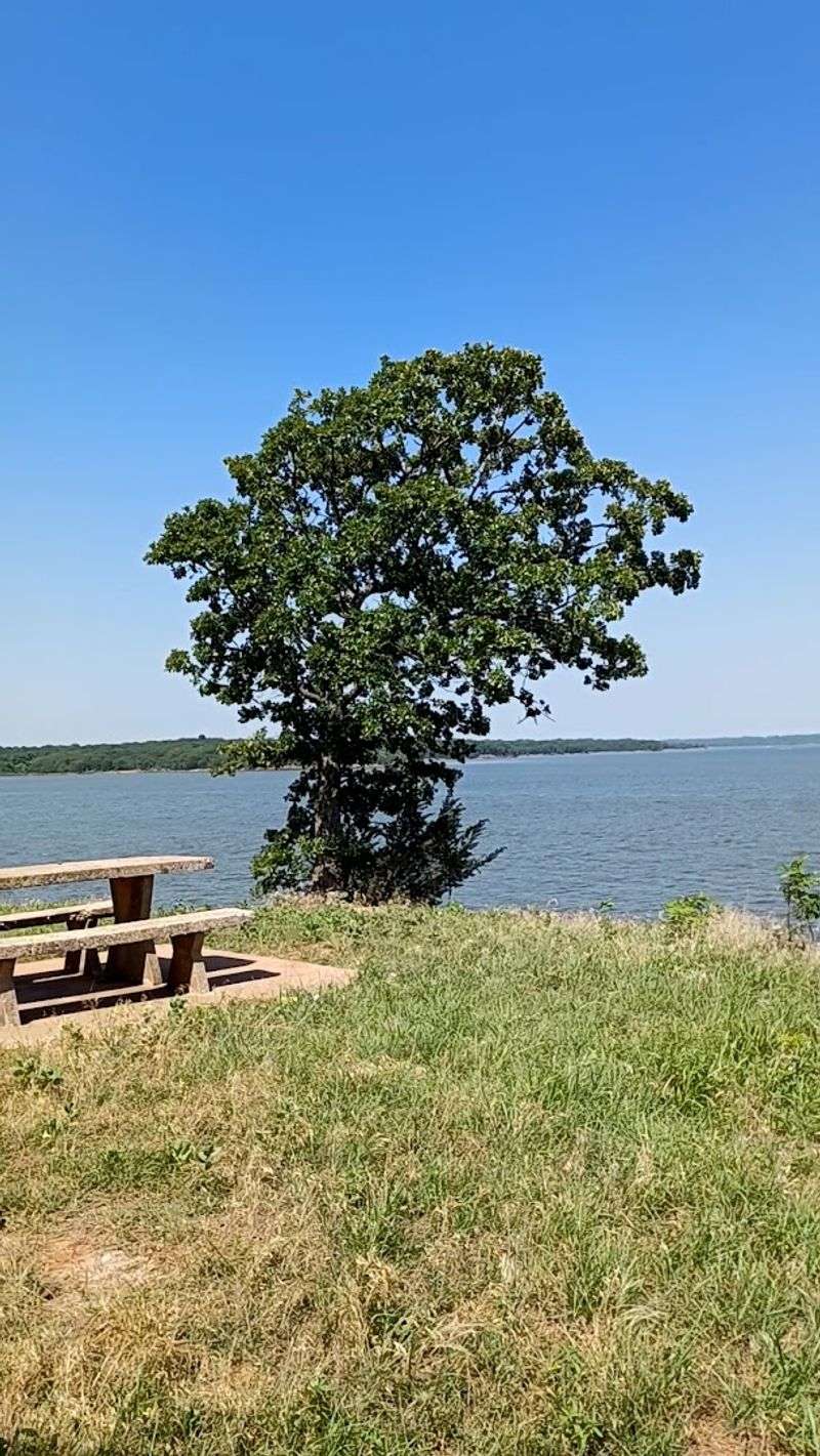 Camping Options: Spending the Night at the Park