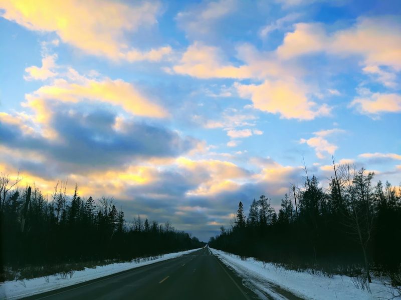 Wildlife Watching That Surprises Even Seasoned Nature Lovers