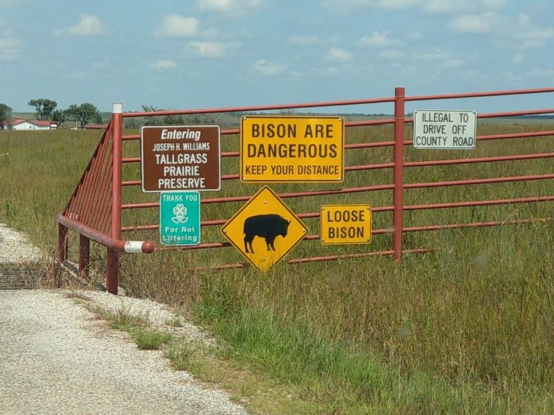 The History Behind the Preserve