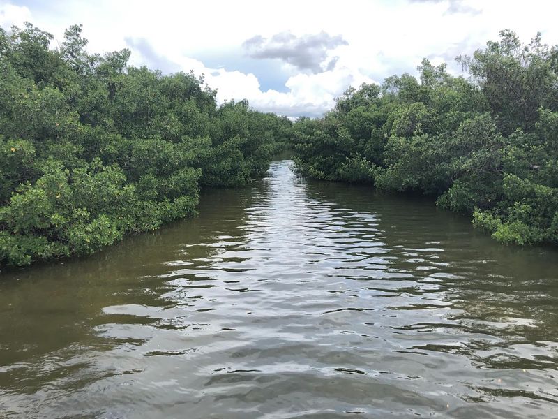 Kayaking and Paddleboarding Through Calm Waterways