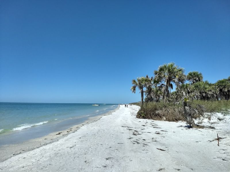 Shelling and Shark Teeth: Beach Treasures Worth Finding