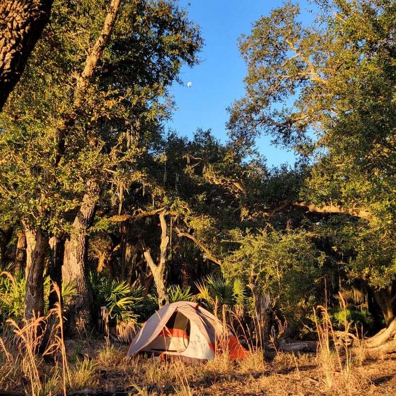 Camping Under the Stars
