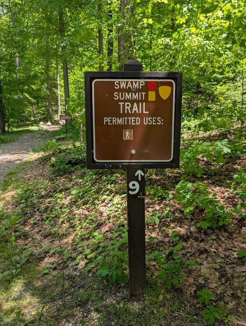 Planning Your Visit: Practical Tips