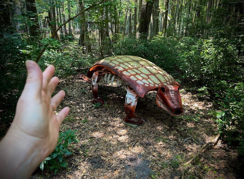 Animal Encounters: Touching an Armadillo and Petting a Snake