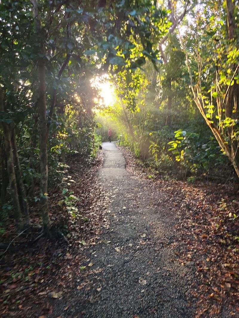 Crowd Flow And Quiet Corners