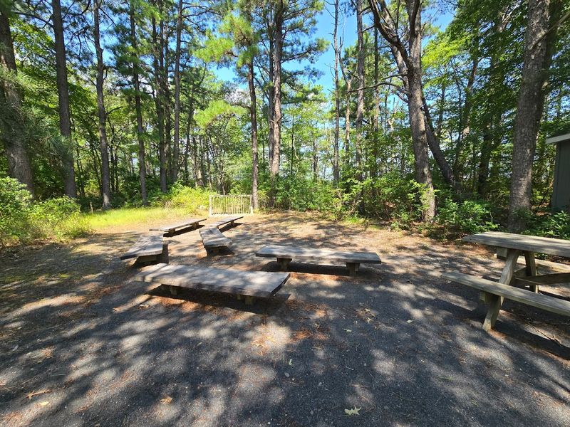 Practical Tips Before You Go