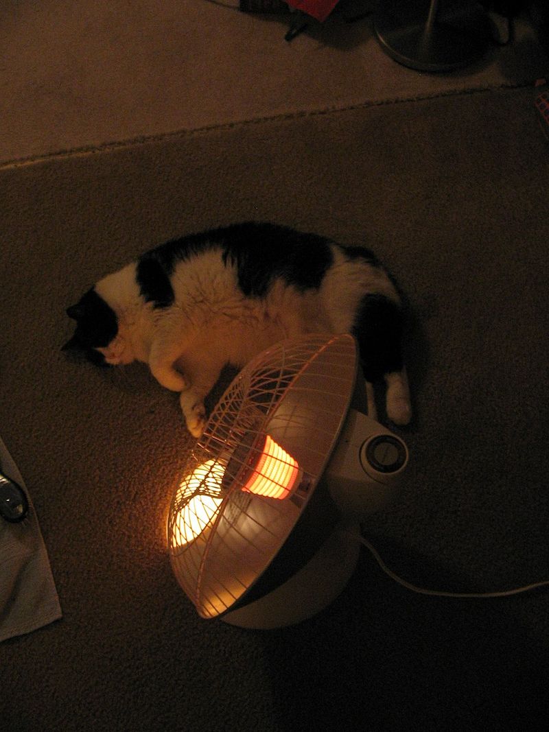 Running Space Heaters Without a Second Thought