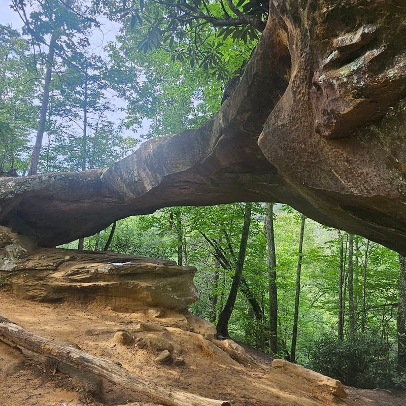Red River Gorge — Kentucky