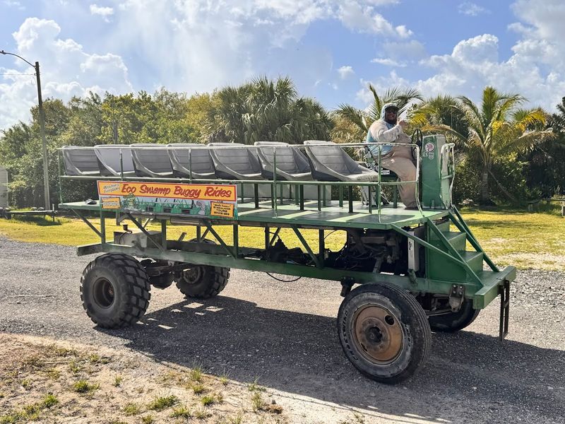 The Swamp Buggy Ride: A Different Kind of Terrain