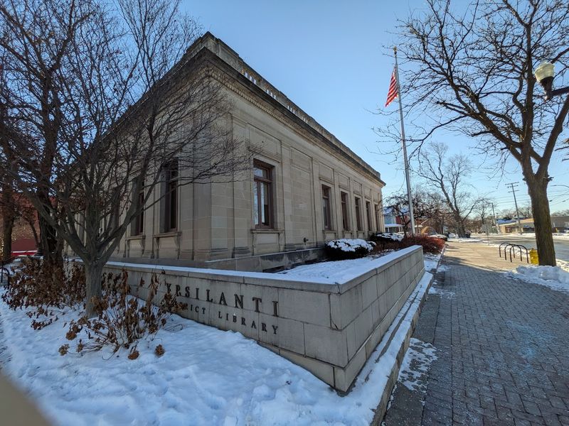 The Ypsilanti District Library's Unexpected Art Role