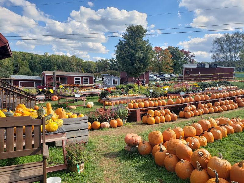 Weaver’s Farm Market – Morgantown, Pennsylvania