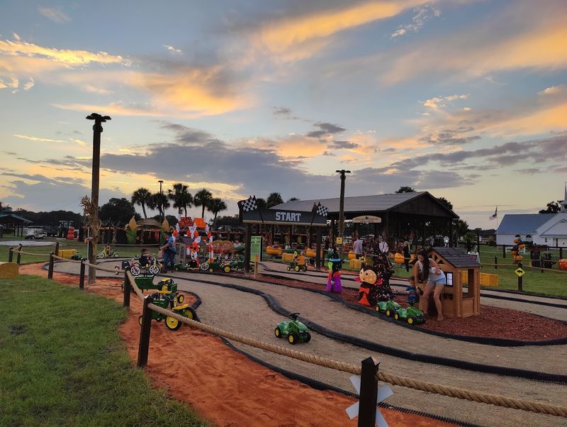 Zip Lines That Actually Deliver a Thrill