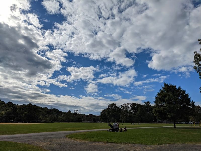 Athletic Fields and Open Green Space