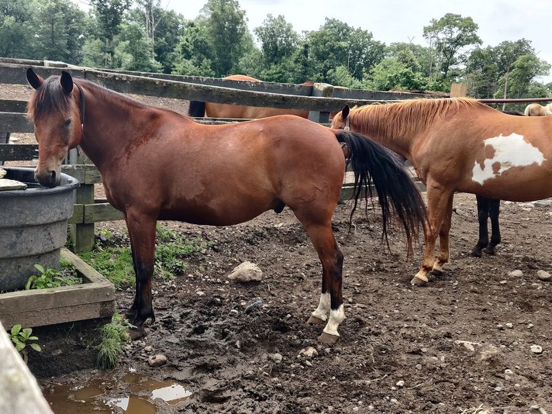 More Than a Quick Date Idea