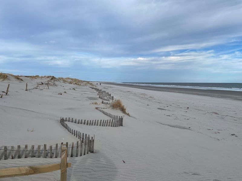 Best Times to Visit and What to Expect