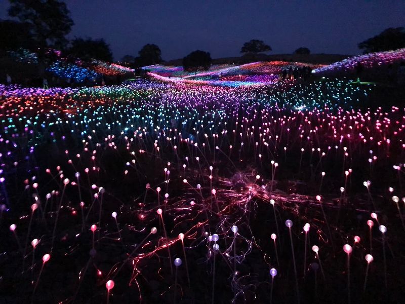 Paso Robles, California