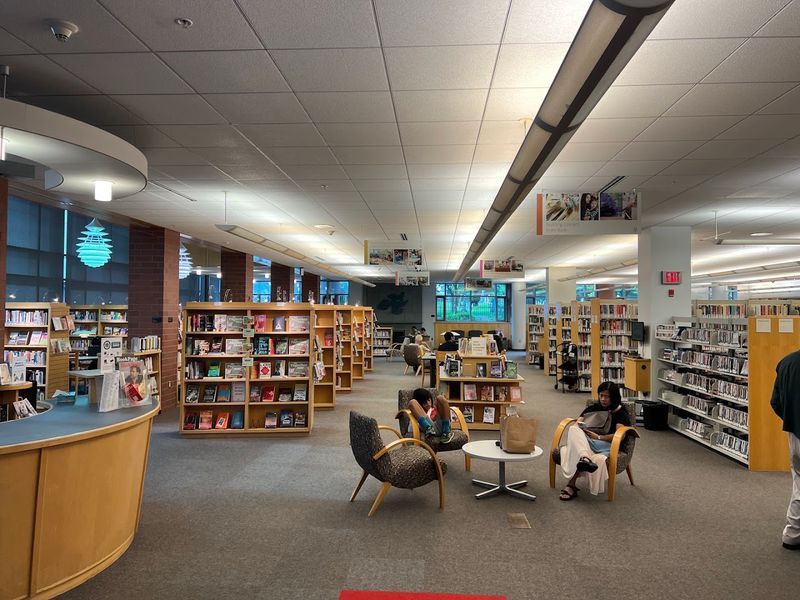 Why Princeton Public Library Stands Apart