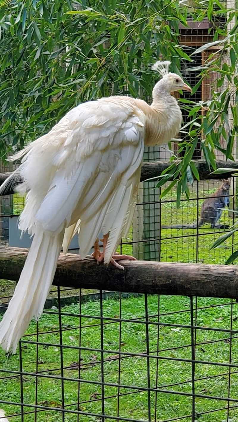 A Zoo That Has Grown Over the Years